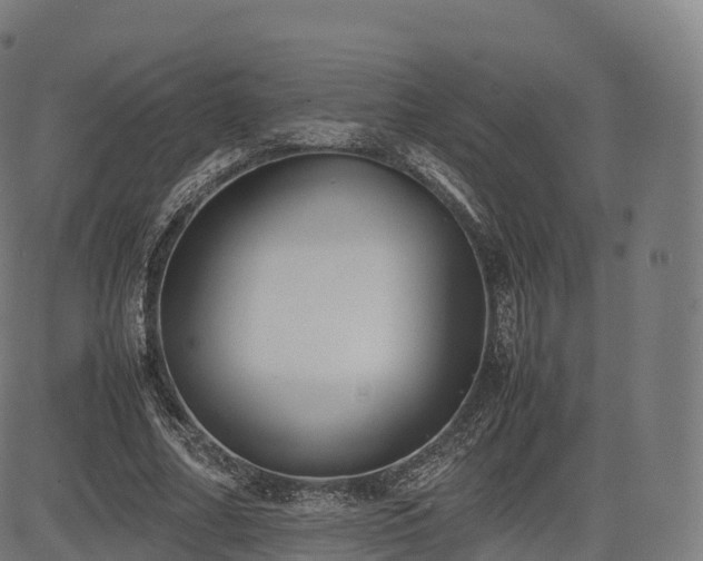 X0000085250682200703091258