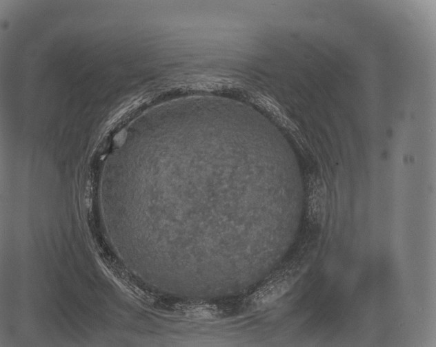 X0000085250683200703091258