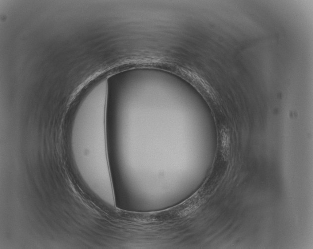 X0000085250684200703091258