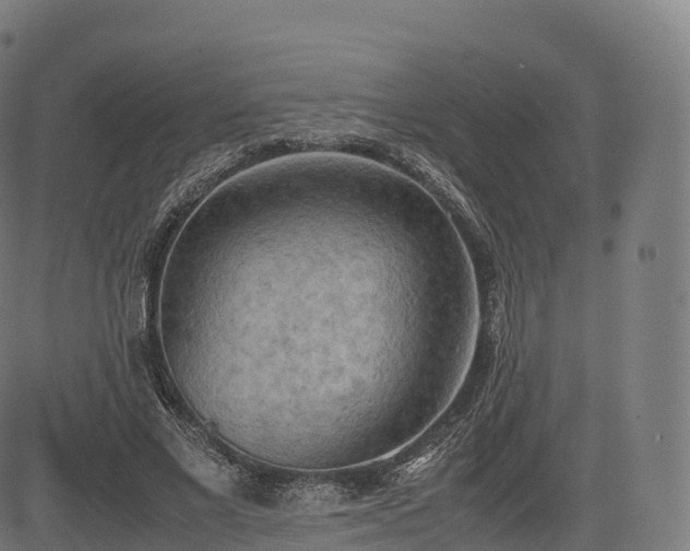 X0000085250685200703091258