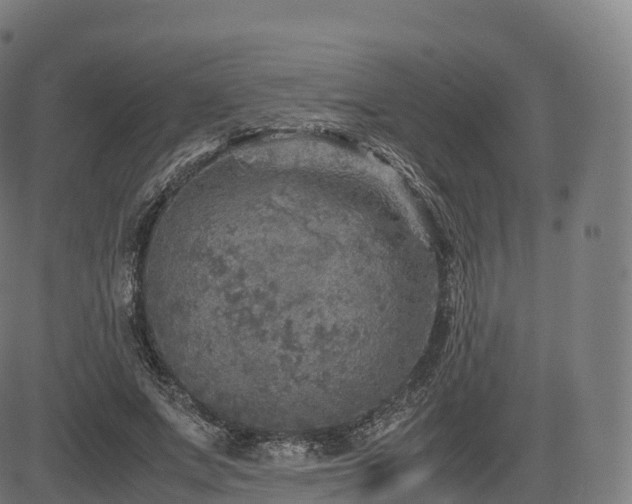 X0000085250687200703091258