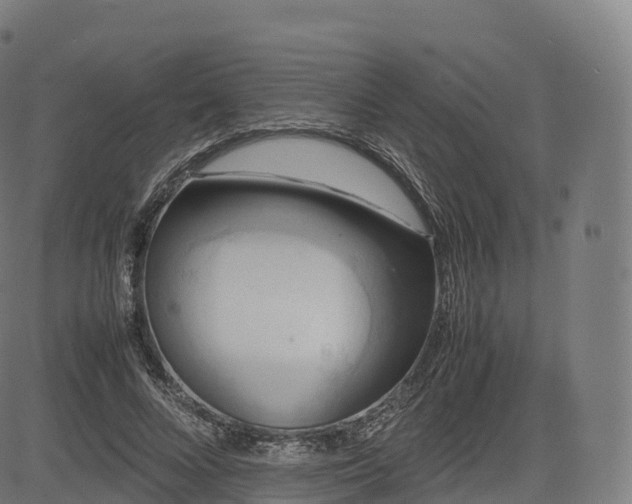 X0000085250688200703091258