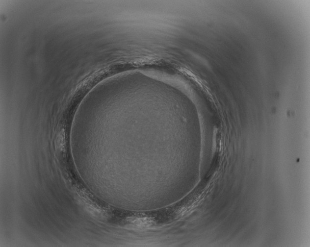 X0000085250689200703091258