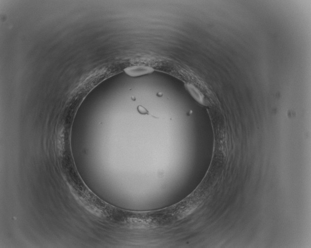 X0000085250690200703091258