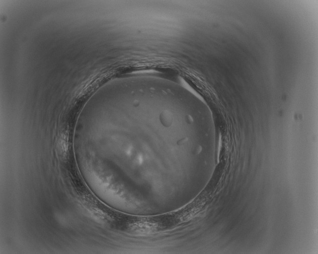 X0000085250691200703091258