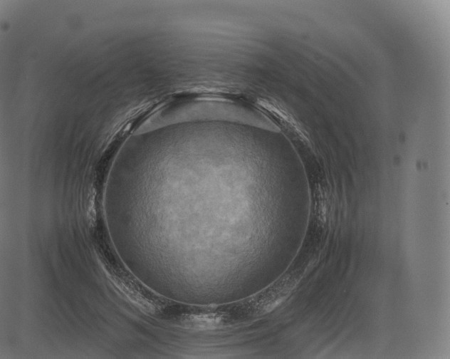 X0000085250692200703091258