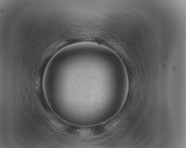 X0000085250693200703091258