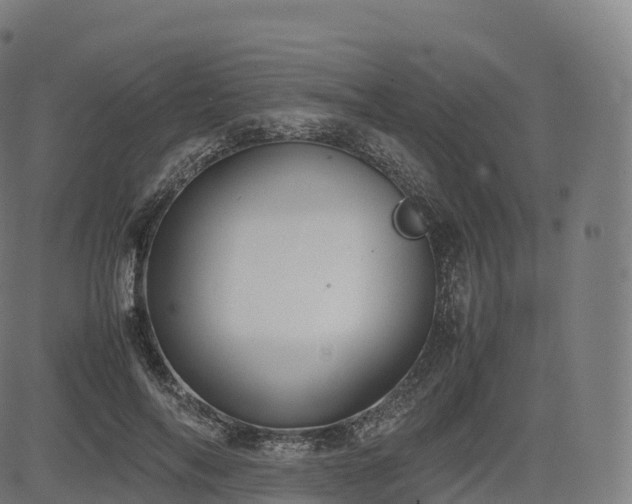 X0000085250694200703091258