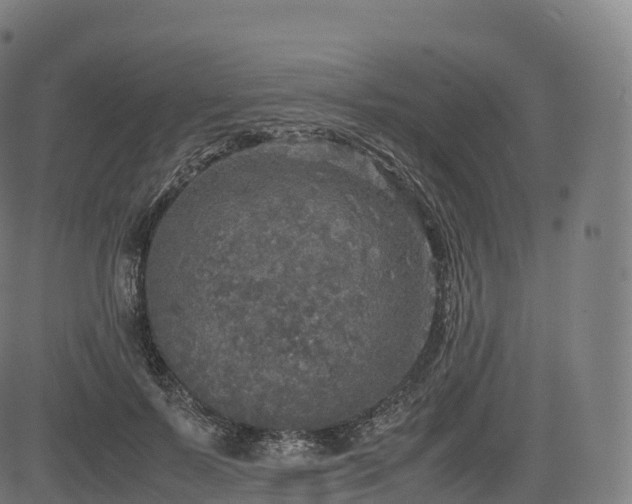 X0000085250695200703091258