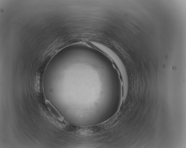 X0000085250696200703091258