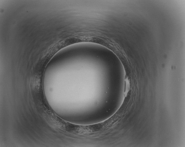 X0000085250697200703091258