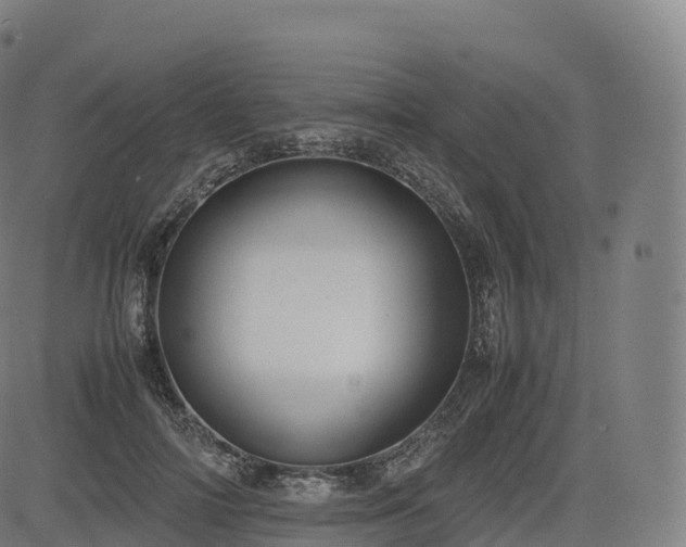 X0000085250698200703091258