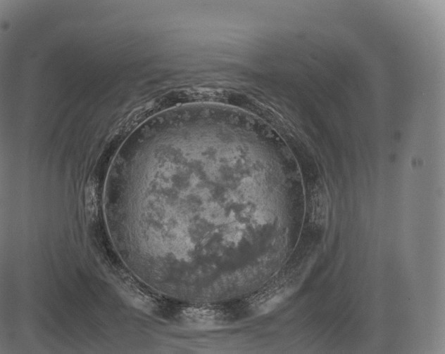 X0000085250699200703091258