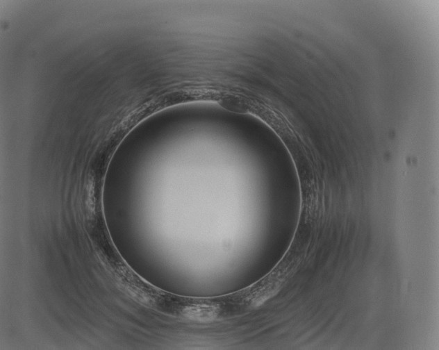 X0000085250700200703091258