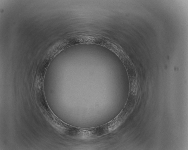 X0000085250701200703091258