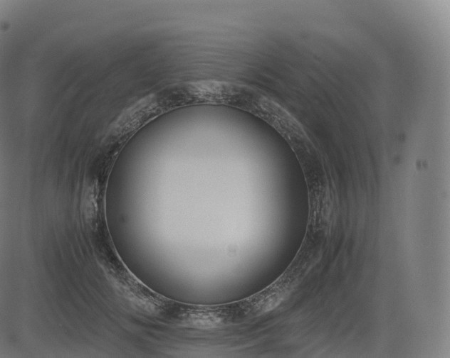 X0000085250702200703091258