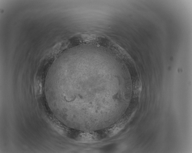 X0000085250703200703091258