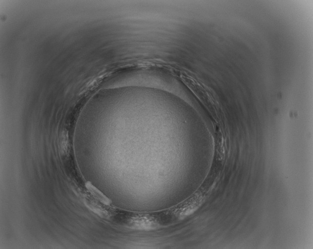 X0000085250704200703091258