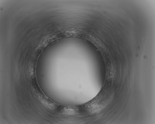 X0000085250706200703091258