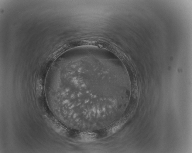 X0000085250707200703091258