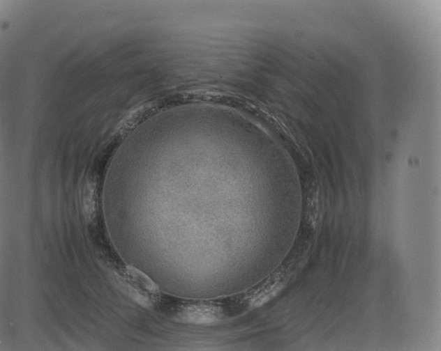 X0000085250708200703091258