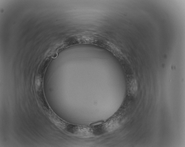 X0000085250709200703091258