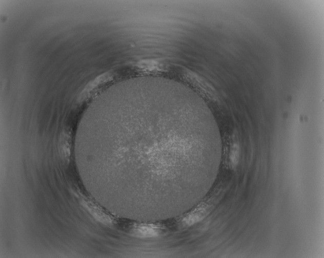 X0000085250710200703091258