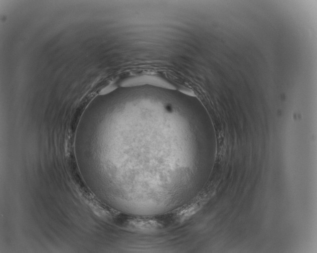 X0000085250712200703091258