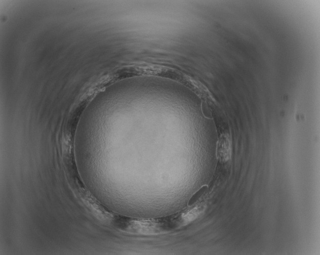 X0000085250713200703091258