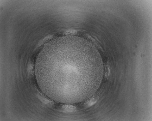 X0000085250714200703091258