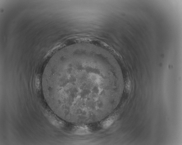 X0000085250715200703091258