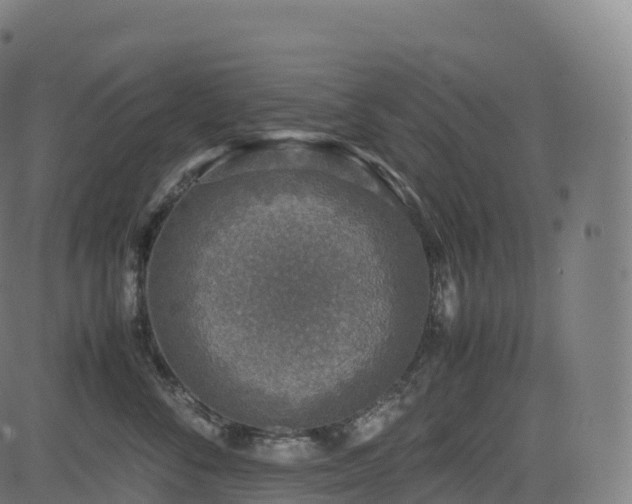 X0000085250716200703091258