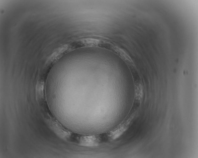 X0000085250717200703091258