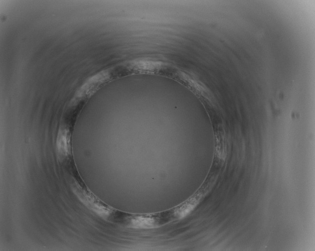 X0000085250718200703091258