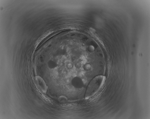 X0000085250721200703091257