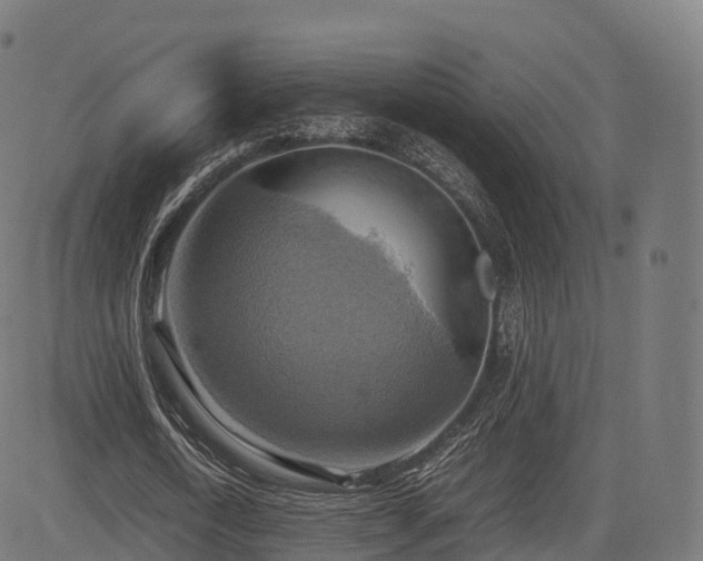 X0000085250722200703091257