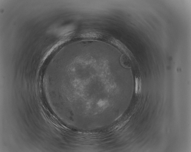 X0000085250723200703091257