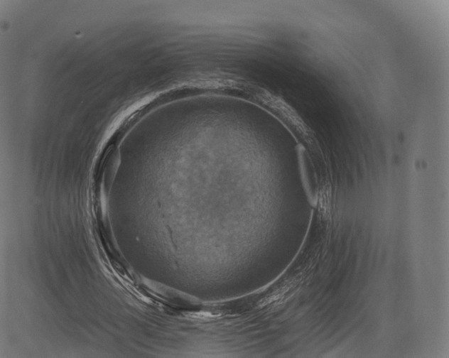 X0000085250724200703091257