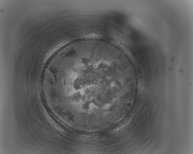 X0000085250725200703091257