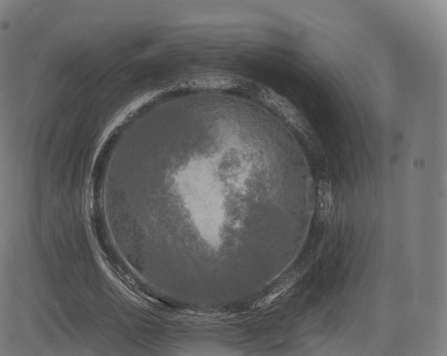 X0000085250726200703091257