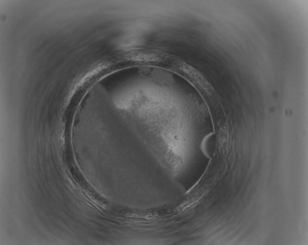 X0000085250727200703091257