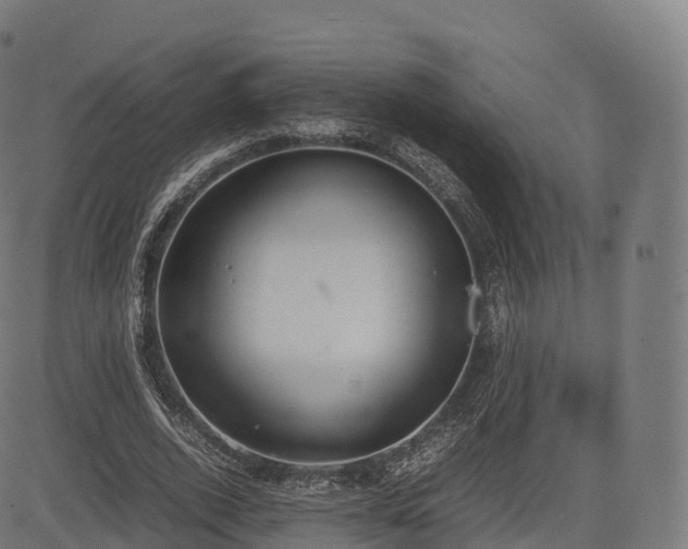 X0000085250728200703091257