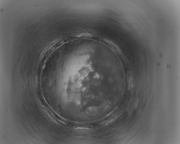 X0000085250729200703091257