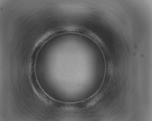 X0000085250730200703091257