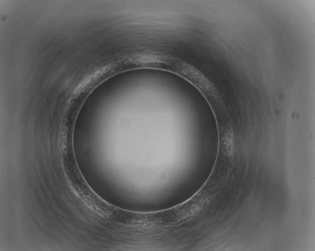 X0000085250732200703091257