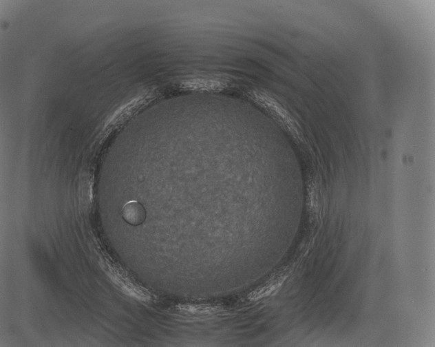 X0000085250733200703091257