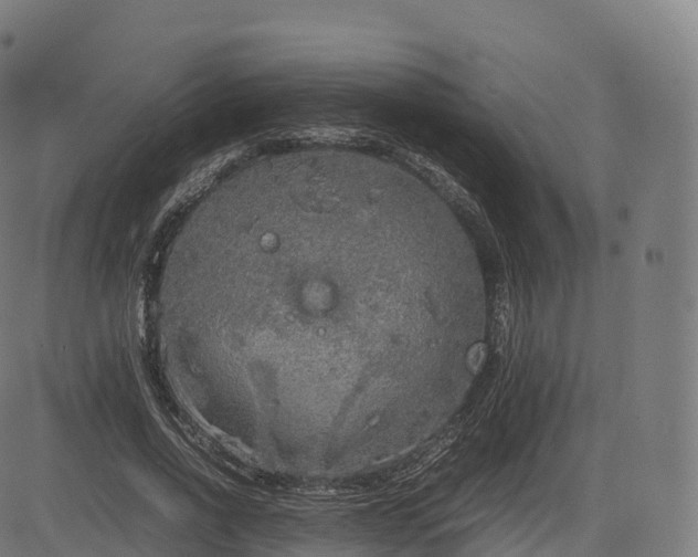 X0000085250734200703091257