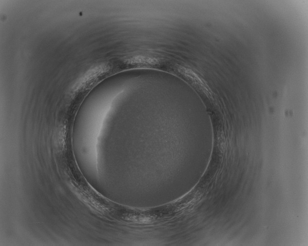 X0000085250735200703091257