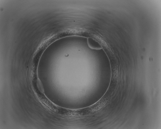 X0000085250736200703091257