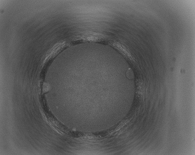 X0000085250738200703091257